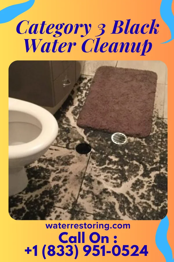 Category 3 Black Water Cleanup in Palatka, FL